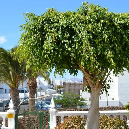 Lejlighed Fuer 5 Personen Ca- 65 M² In Puerto Del Carmen- Lanzarote - Suedkueste Von Lan By Interhome